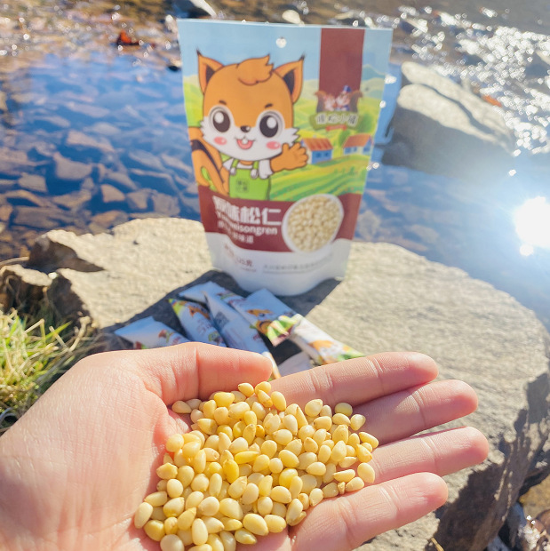 Daxinganling Arctic Songye pine nuts ponytail pine nuts original flavor Xiaoyan pine nuts new product nuts new packaging