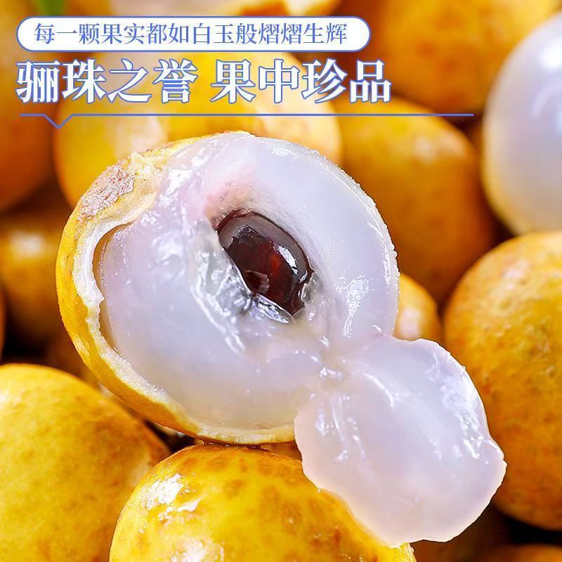 Authentic Seasonal Fresh Longan Thai Gold Standard Longan Small Core Pruning Delivery Longan Fruit Whole Box Drop Shipping