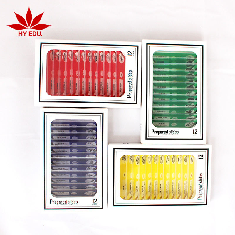 Red Apple Teaching Instrument Biological Slice Red, Yellow, Blue and Green Four-Box Set Plastic Colorful Comprehensive 48-Piece Set