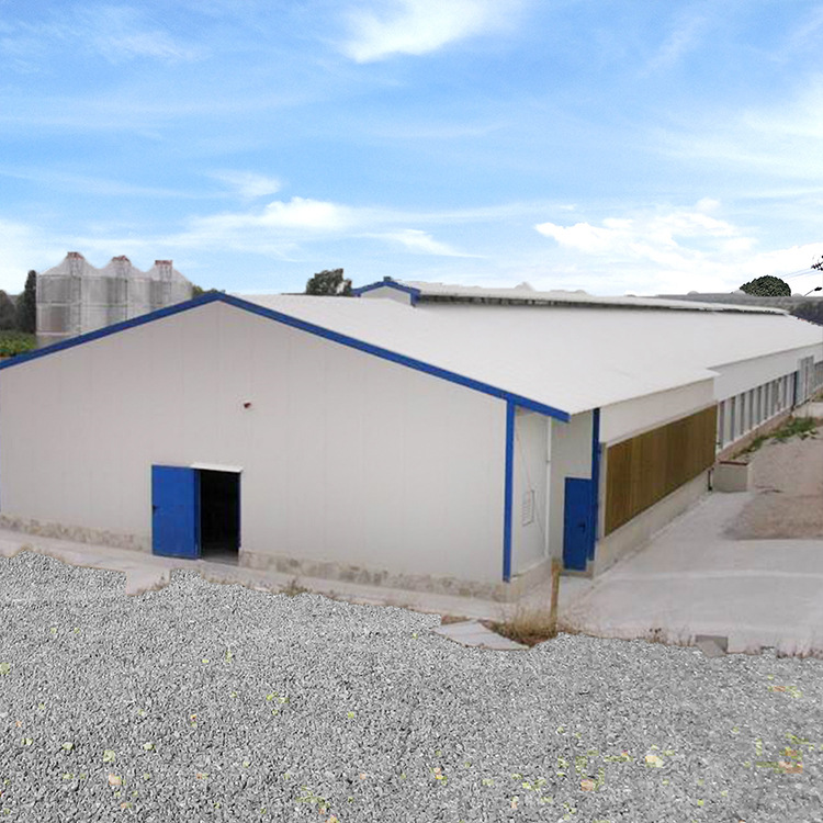 Steel Structure Warehouse Export Manufacture High Quality Durable Steel Structure Chicken Cage Poultry Farm Chicken House