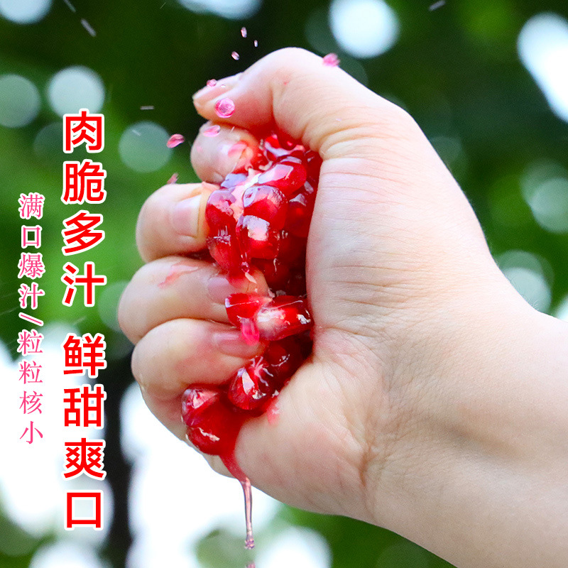 Authentic Linchong Hard-Seed Pomegranates 5kg in Season, Freshly Picked Seedless Sweet Pomegranates, Large Sweet Pomegranates, Whole Box Free Shipping