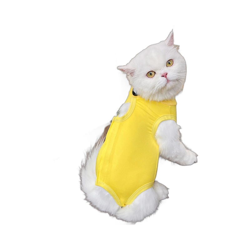 Pet Supplies Cat Clothes Cat Sterilizing Post-Sterilizing Clothing Anti-Lick and Bite Soft Super Elastic Short Blue Cat Hair-Free Supplies