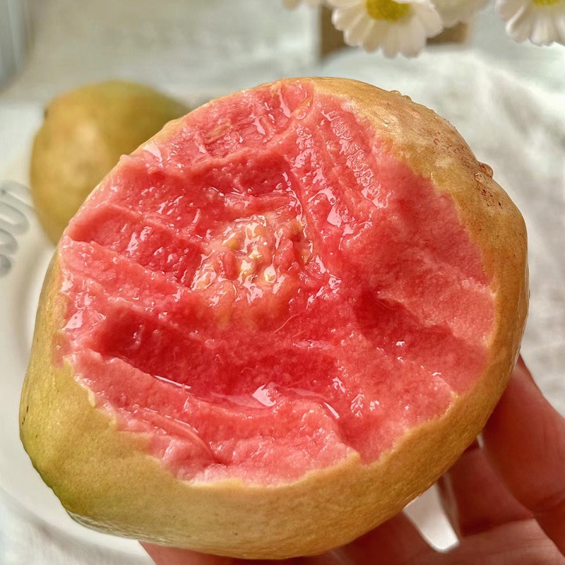 Фудзянь красная сердцевидная гуава свежий фрукт сезонный сладкий и мягкий прямиком с места происхождения оптовая продажа целая коробка крупные фрукты