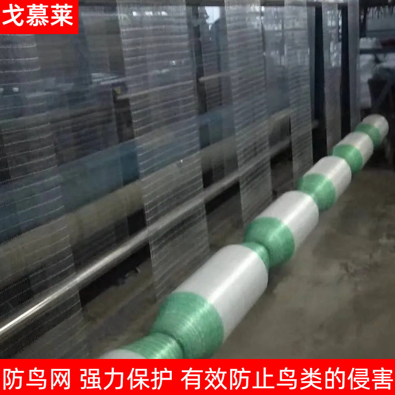 Orchard Anti-Bird Net, Farmland Pond Sky Net, Cherry Courtyard Green Plant Protection Net, Nylon Fishing Net