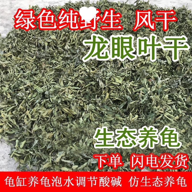 Wild Longan Leaves, Dried Turtle Leaves, Turtle Tank, Dried Longan Leaves, Ph Adjustment, Simulated Ecological Turtle Farming