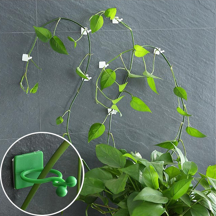 Держатель для зеленой редьки, вьющаяся растительность, зеленый стеновой лазатель, крюк, фиксирующая пружина, клипса для фиксации вьющихся растений