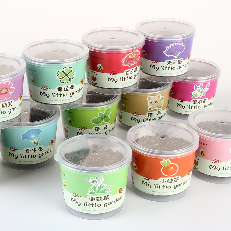 Bean Diced Potted Cat Grass Green Plant Blind Seed Kindergarten Kidsren Sunflower Strawberry Hand-Planted Flower Seed Gift