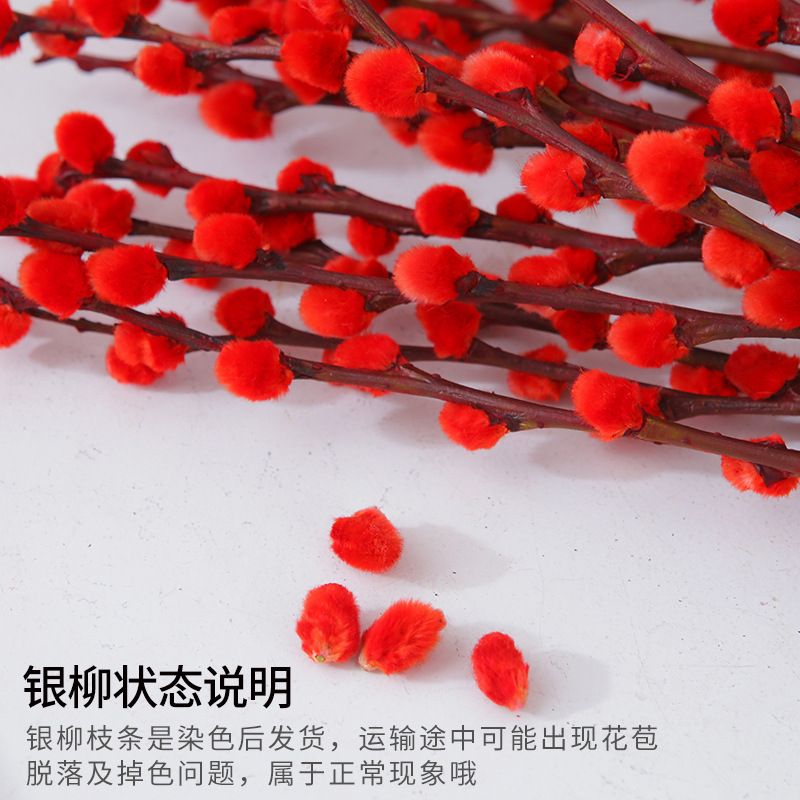 Silver Willow Real Flowers, Fresh Branches, Living Room Dried Flower Ornaments, Red New Year's Eve Florals, Hydroponic Plants, Indoor Dry Branches, Red Willow
