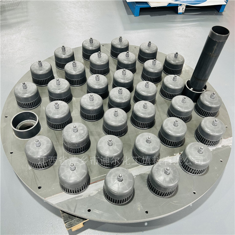 Производство на заказ: Cpvc пластиковая круглая пузырьковая плита, плита абсорбционной колонны Dn100