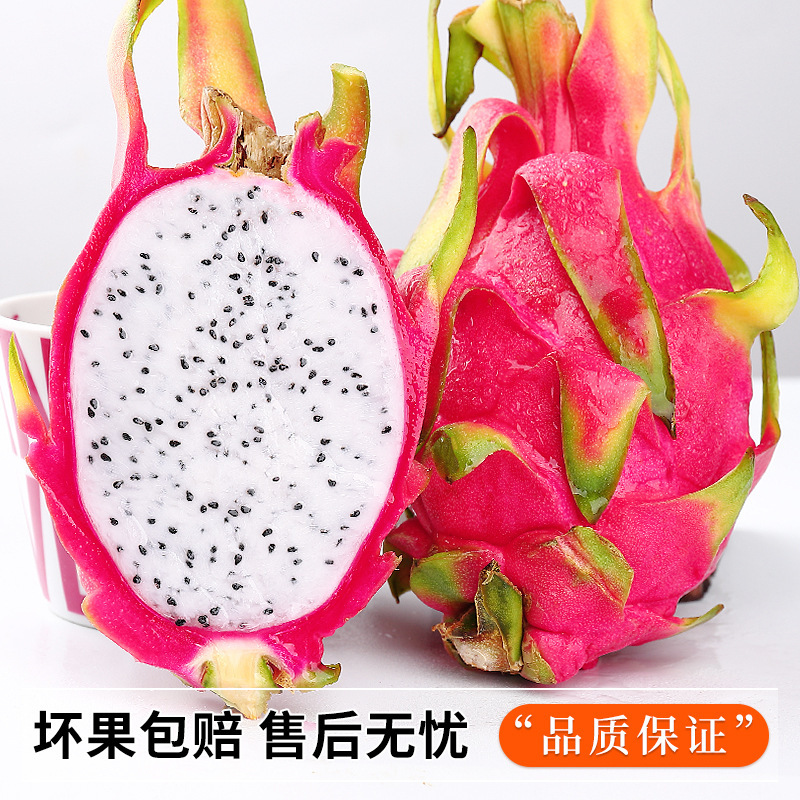 Fresh White Dragon Fruit 5kg in Season Tropical Fruit for Pregnant Women Imported from Vietnam White Flesh Dragon Fruit Whole Box Free Shipping