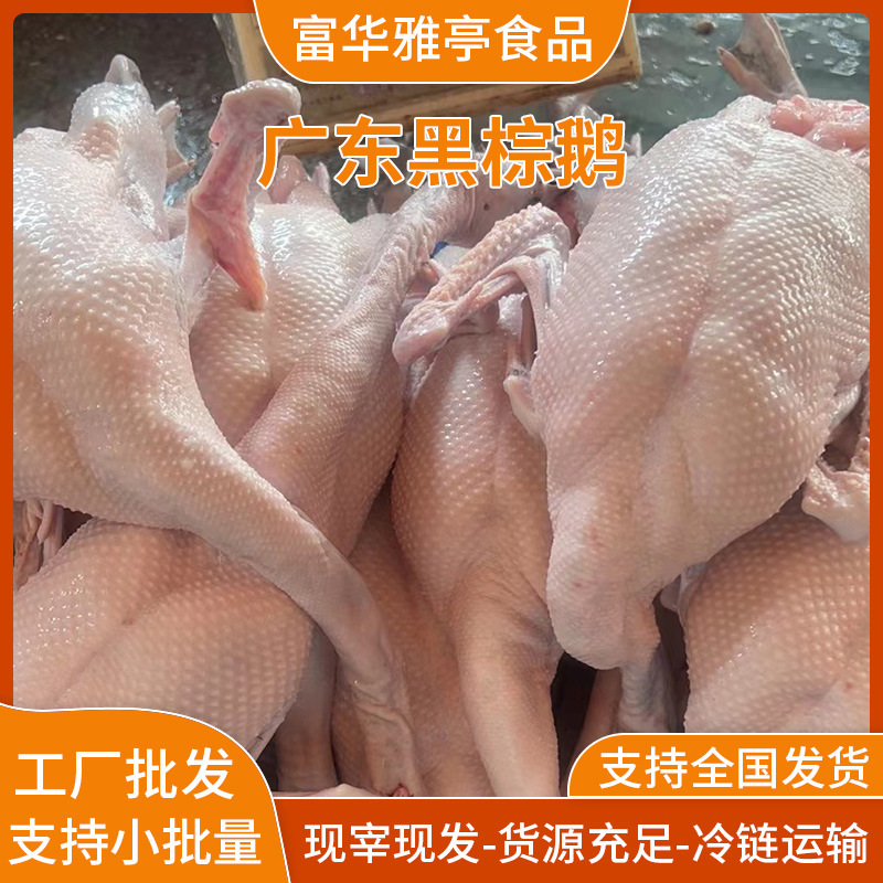 Authentic Black and Brown Goose, Freshly Slaughtered and Ready to Eat, Qingyuan Black and Brown Goose Hotel Hong Kong-Style Tea Restaurant Special Roasted Goose