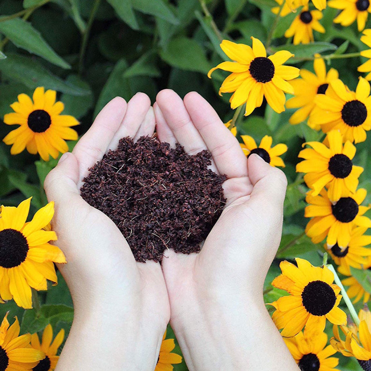Cat Planting Coconut Shreds Compressed Coconut Bran Seedling Block Coconut Cake Pure Coconut Bran Soil Media Coconut Bran Brick Succulent