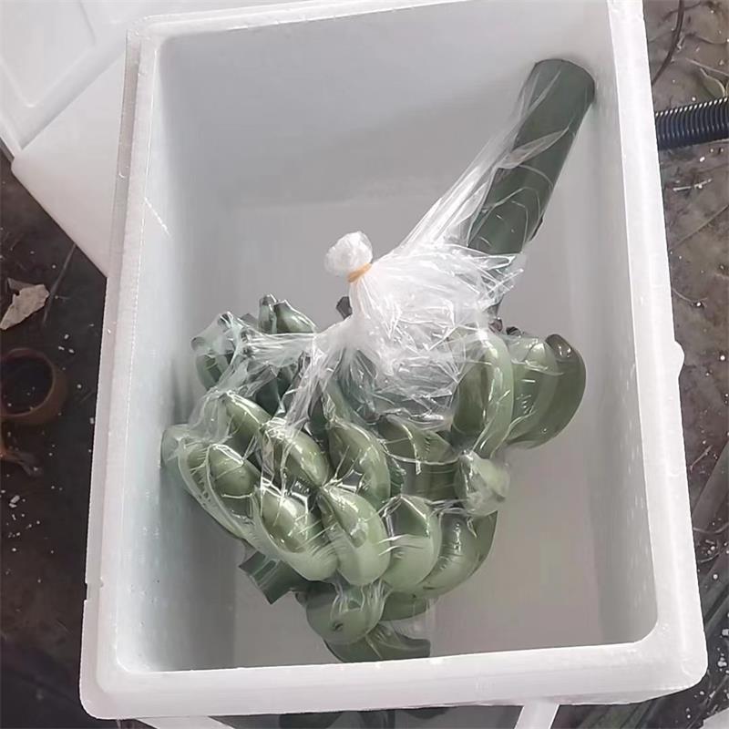 Whole Bunch of Bananas with Handles, Fresh Bananas, Small Bananas, Freshly Chopped Green, Ready-Made, Whole Bunch in Box, Drop Shipping