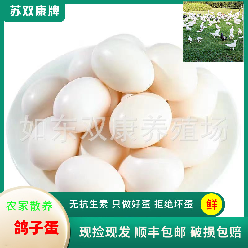 Оптовая продажа свежих яиц голубей для беременных, детей и пожилых людей, белые яйца голубей для фермеров, яйца голубей свободного выпаса