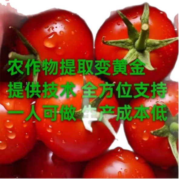 Crops Are Extracted to Produce Plant Protein Peptides, with Full Support from the Company to Help Farmers Start Their Own Businesses, Providing Technical Support and Supporting Repurchase