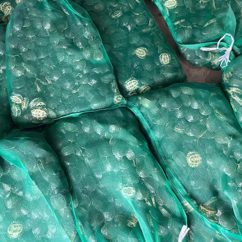 Brazilian Turtle Pet Turtle Stall Live Animal Wholesale Large and Small Turtle Seedlings Turtle Domestic Pet Turtle Wholesale Farm