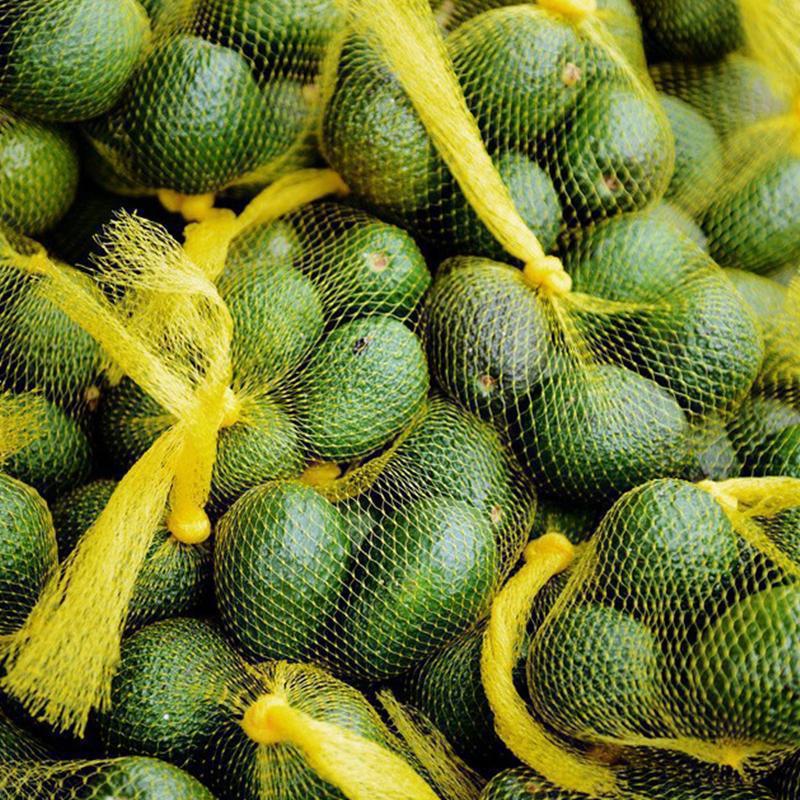 Peruvian Imported Avocado 6-Pack Fresh Seasonal Fruit for Pregnant Women and Baby Food Supplement Whole Box Large Fruit Free Shipping