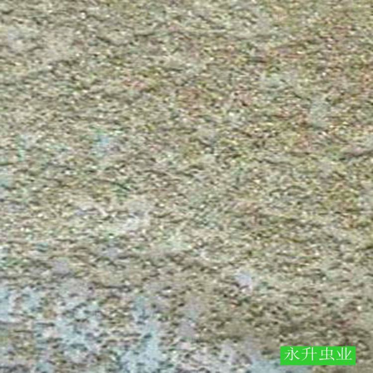 Поставка яиц мучного червя, наложенный платеж, подписание контракта на переработку