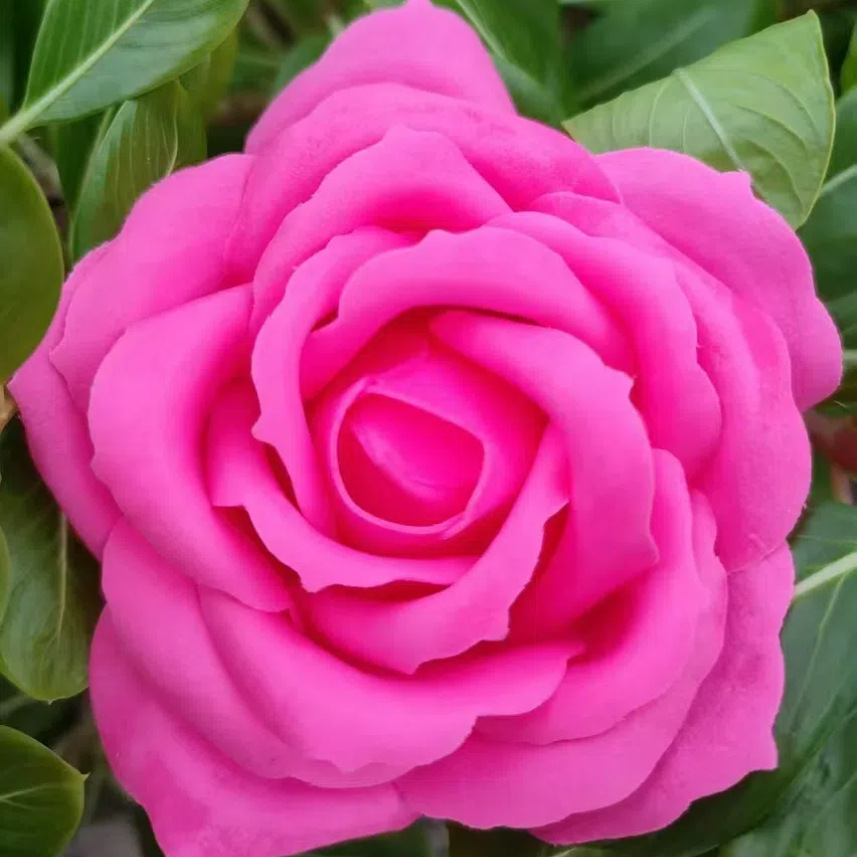 Simulation Rose Head Flower Five-layer Soap Flower DIY Wedding Forever Flower Soap Flower Valentine's Day Rose