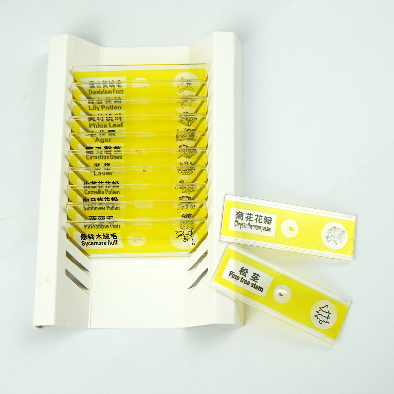 Portable microscope plastic specimen children's experimental biological slide specimen slice bilingual