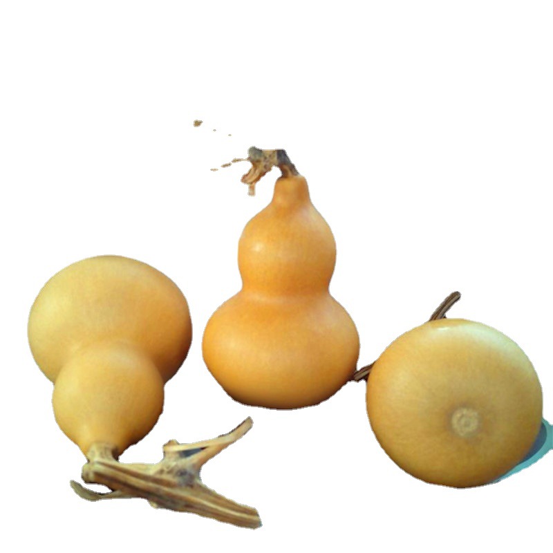 Factory direct natural gourd American hand twist gourd Wen play play small gourd gourd crafts wholesale