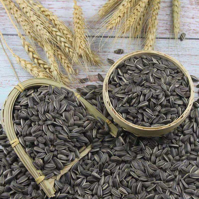 Seasonal new raw oil sunflower seed melon seed bird food hamster raw material black melon seed sunflower seed raw material bulk wholesale