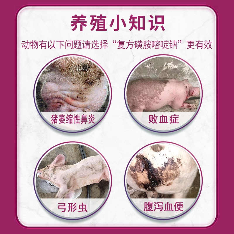 Veterinary Drug Compound Sodium Sulfamethoxypyridine Injection High Fever Mixed Sensation