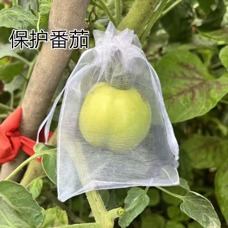 Spot Wholesale Fruit Anti-Bird and Insect-Proof Mesh Bag Transparent Fruit Bagging Grape Peach Fig Breathable Drawstring Bag