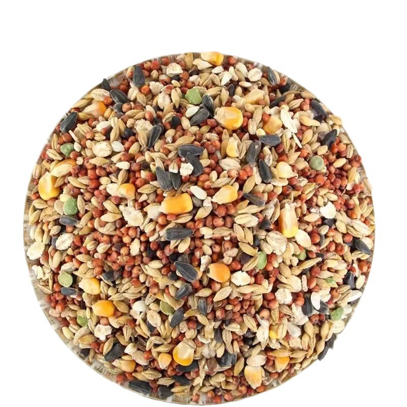 Hamster Food Bulk Mixed Feed Seafood Grain Batch Super Cost-Effective Golden Bear Self-Prepared Large Bag Nutritious Staple Food