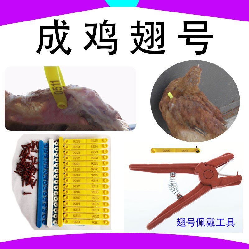 Кольцо для куриных крыльев, кольцо для птичьих лап, кольцо для лап голубей, минимальный заказ 1000 штук