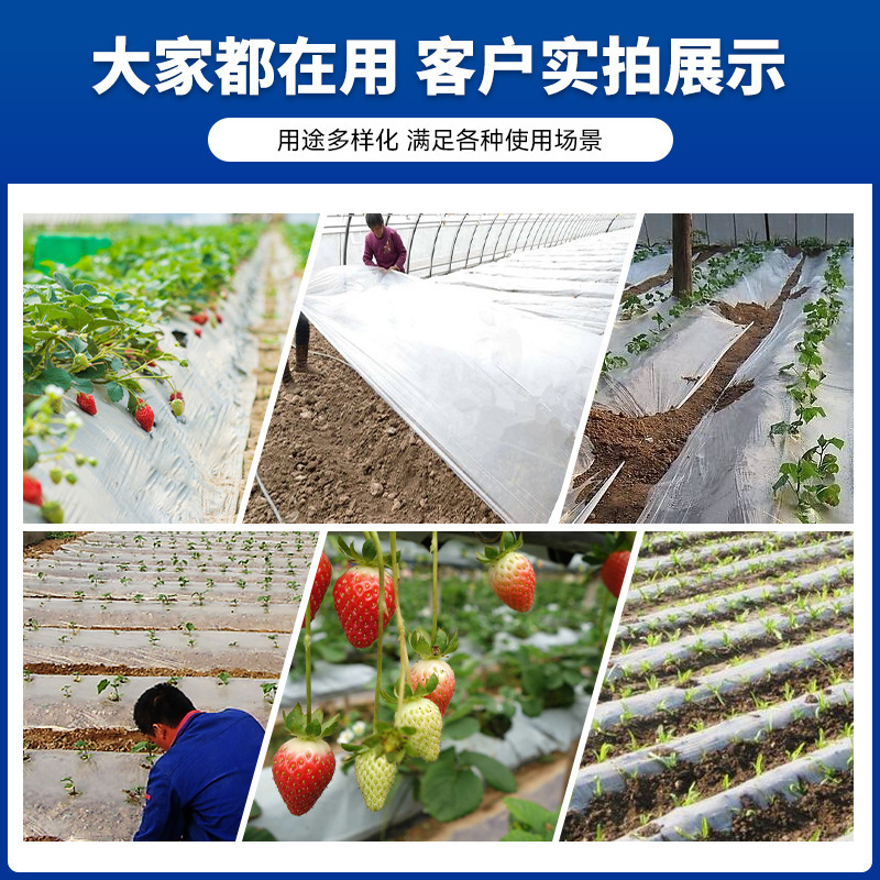 Agricultural Mulch Film for Growing Vegetables, Plastic Greenhouse Film, Insulation Plastic Film, Degradable Mulch Film, Insulation Plastic Film