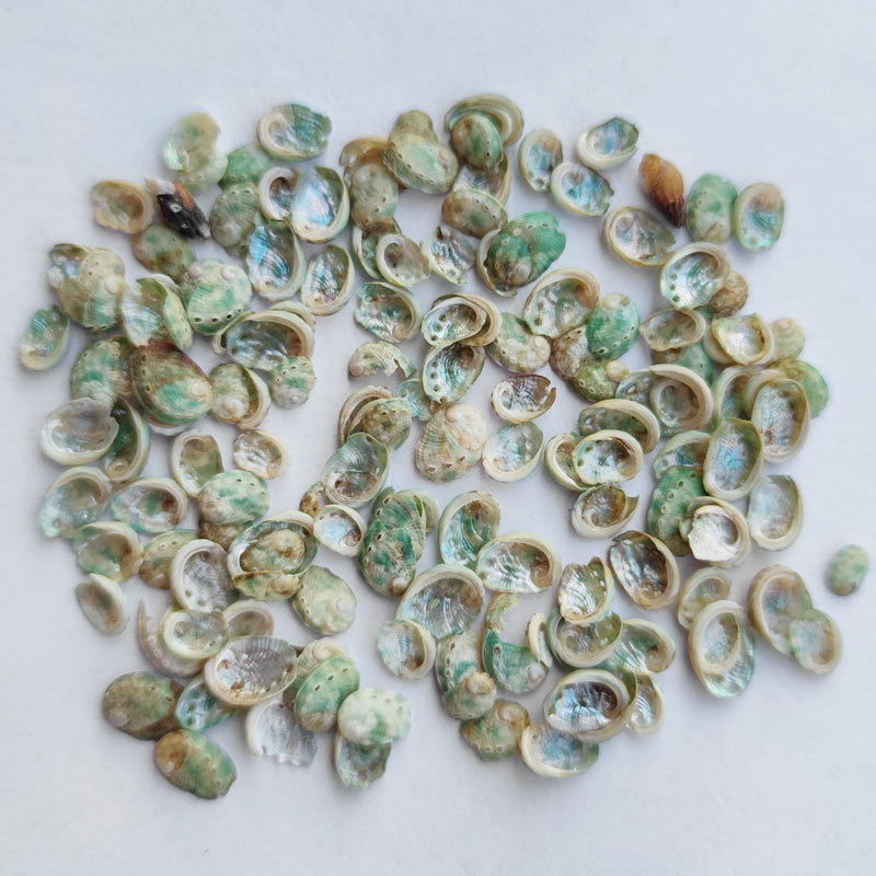 Натуральная редкая зеленая раковина абалона мини раковина коллекция 0.5-1см мини маленькая раковина