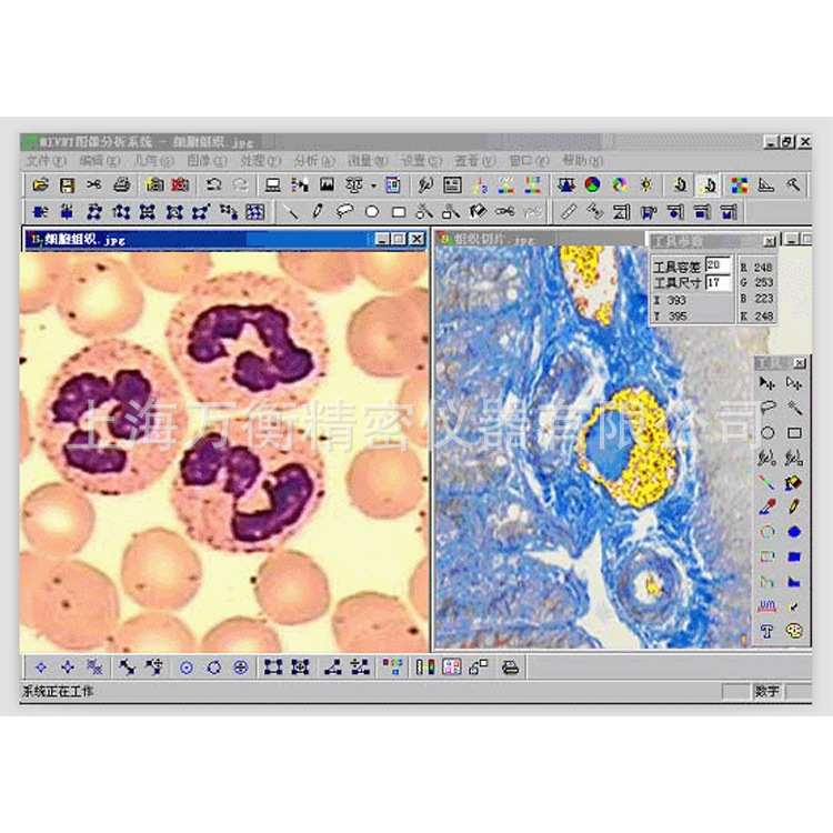 Программное обеспечение для микроскопического анализа изображений Профессиональное металлографическое программное обеспечение Mi3000
