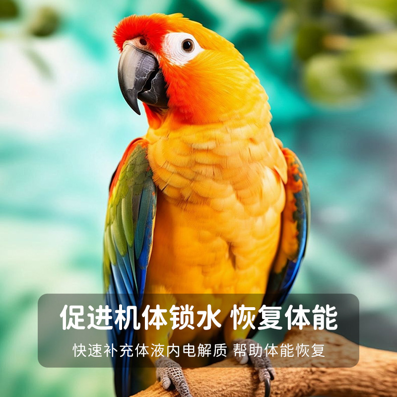 Pet Electrolytic Multidimensional Parrot Hamster Electrolyte Supplement Vitamin Universal Electrolytic Multidimensional Factory Wholesale