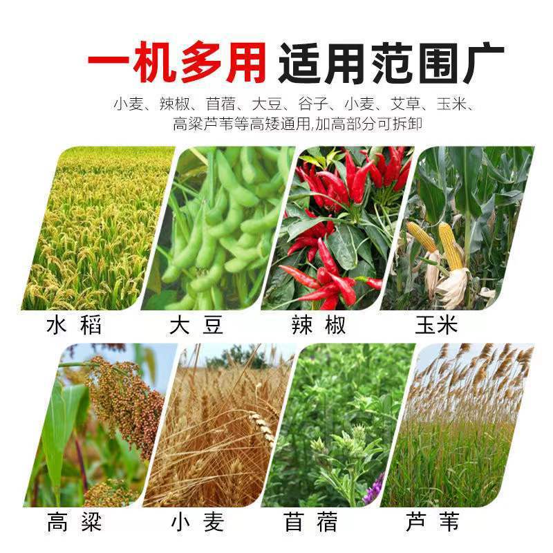 Agricultural Small Household Thresher, Multifunctional Corn Harvester, Straw, Pasture, Firewood, Gasoline Automatic Harvester