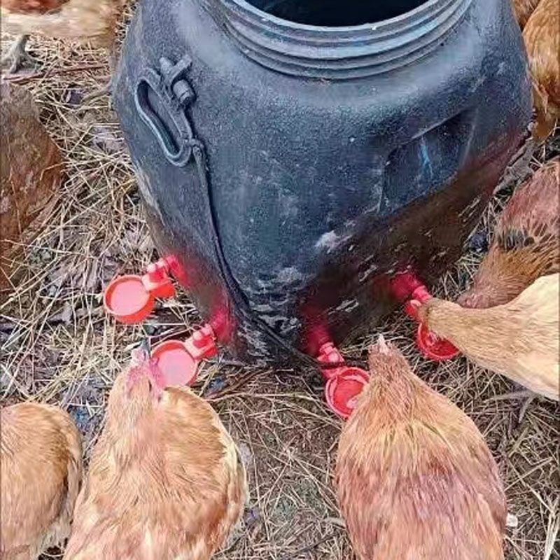 New Chicken feeding automatic drinker chicken duck goose automatic drinker breeding quail pigeon poultry automatic drinker