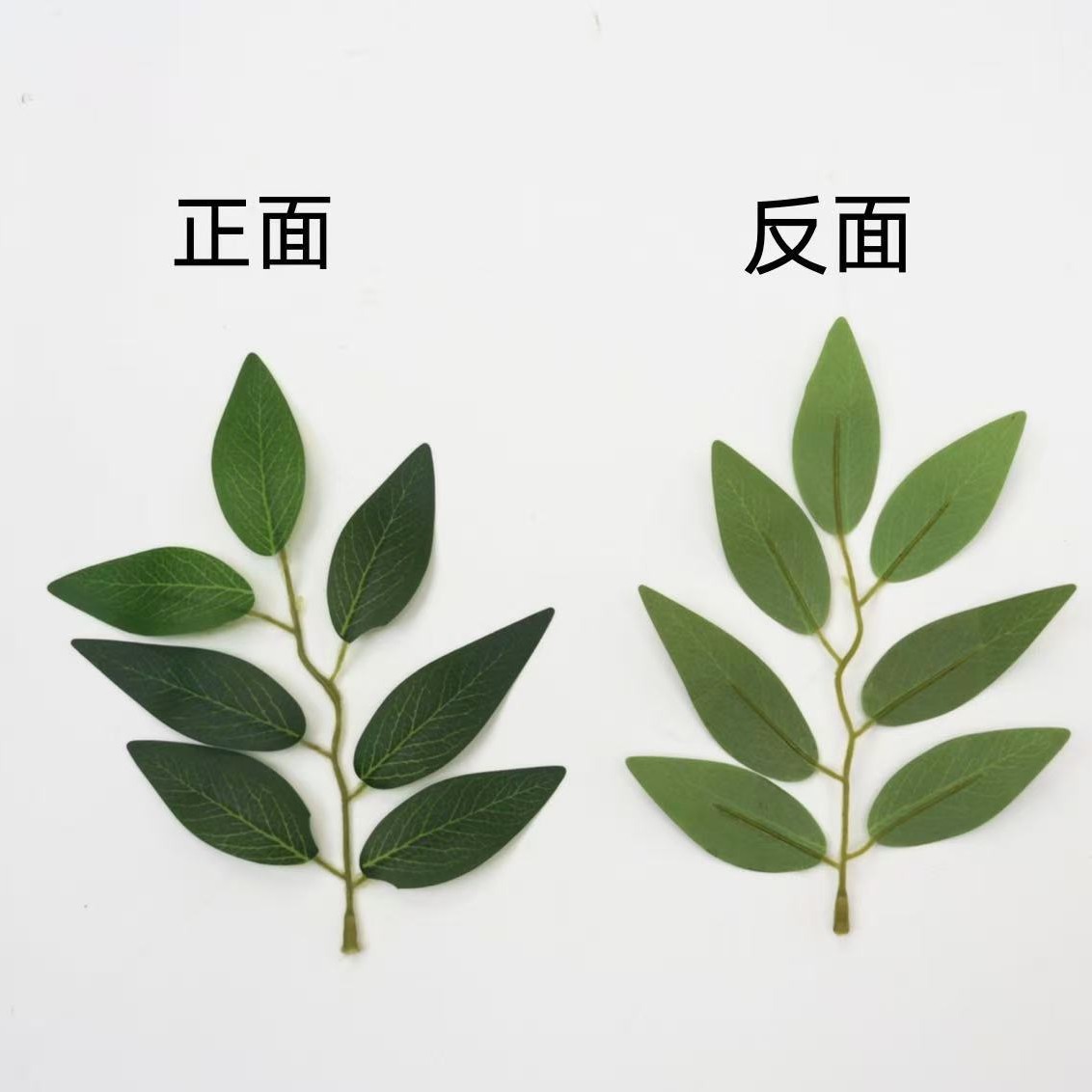 Factory Direct Supply of Simulated Jujube Leaves 7 Leaves Wholesale Supply Home Photography Decoration Green Plant Accessories