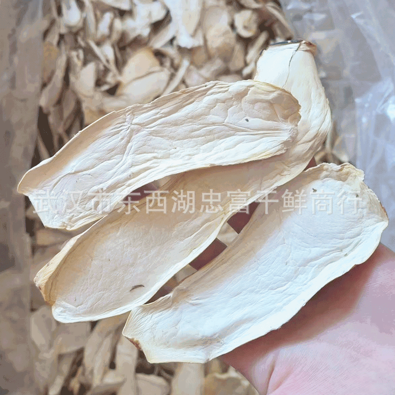 Оптовая поставка сушеных грибов Pleurotus eryngii, крупные/средние, снежные грибы