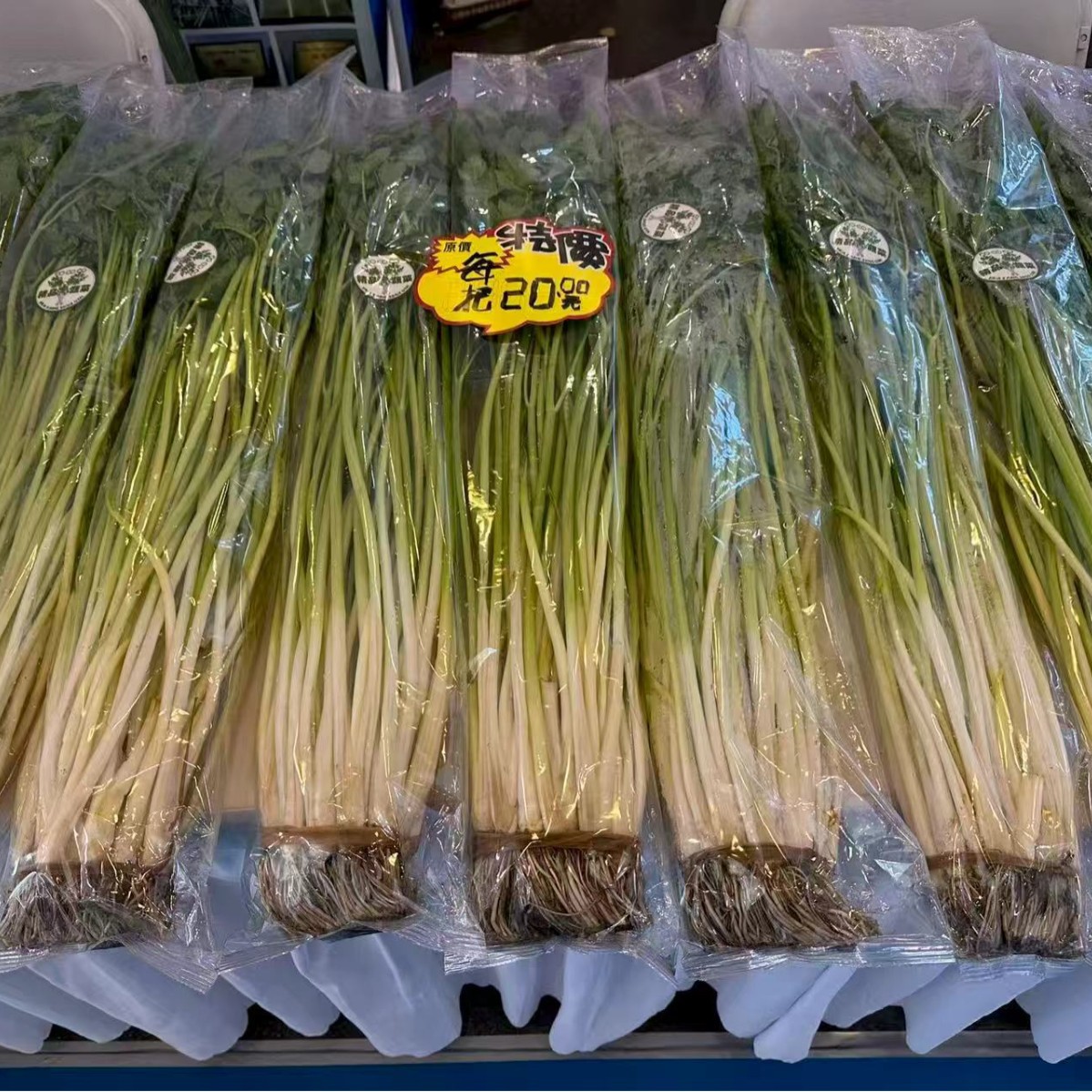 Jiangyin Huatang Water Celery Gift Box Packaging Agent Distribution Wholesale Fresh Vegetables for Commercial Use