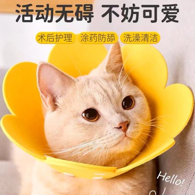 Фетровый воротник Elizabethan для домашних животных, воротник с подсолнечником, противолизания, головной убор для кошек