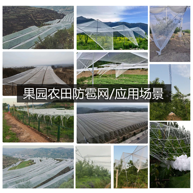 Processing and Customization of Anti-Hail Net, Anti-Bird Net, Apple Orchard, Vineyard Anti-Bird Net, New Material, Anti-Oxidation Gauze Net, Farmland
