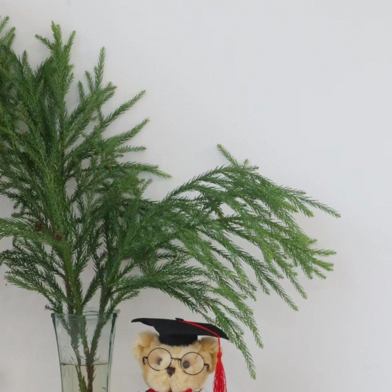 Japanese Girl Christmas Tree Materials Fresh Internet Celebrity Japanese Girl Natural Pine and Cypress Decorative Christmas Materials