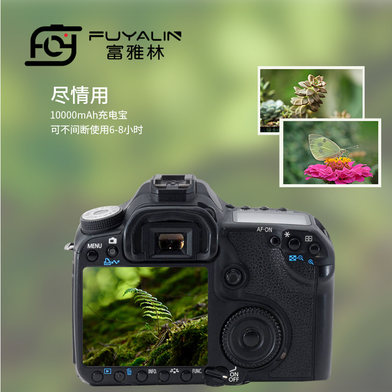 DRE6 PD/TYPE-C adapter suitable for Canon EOS R5 R6 micro single 80D 90D LPE6N fake battery