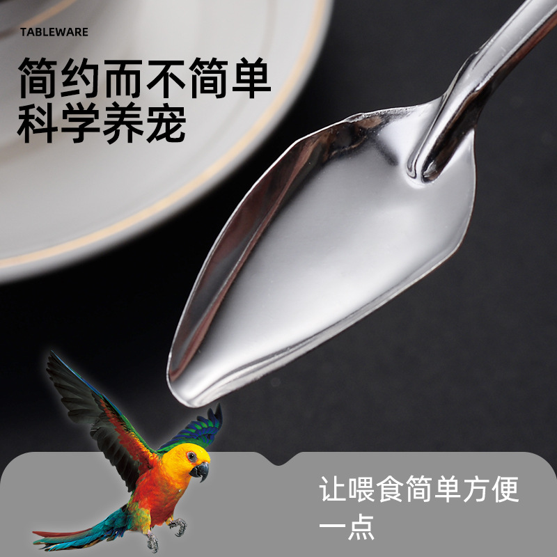 New stainless steel metal chick feeding spoon parrot feeder bird feeding spoon baby bird feeding water feeding spoon wholesale