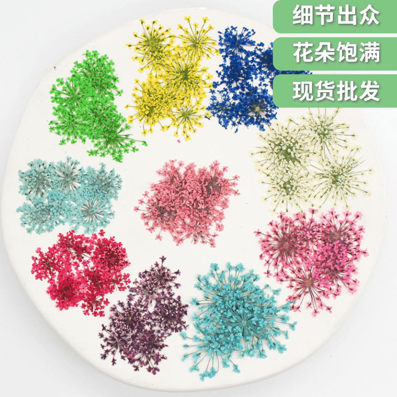 снежные бусины кружевной цветок сухой цветок оптовый образец растения ногтевой арт клей для капли цветочная фоторамка материал 2000 цветов в упаковке