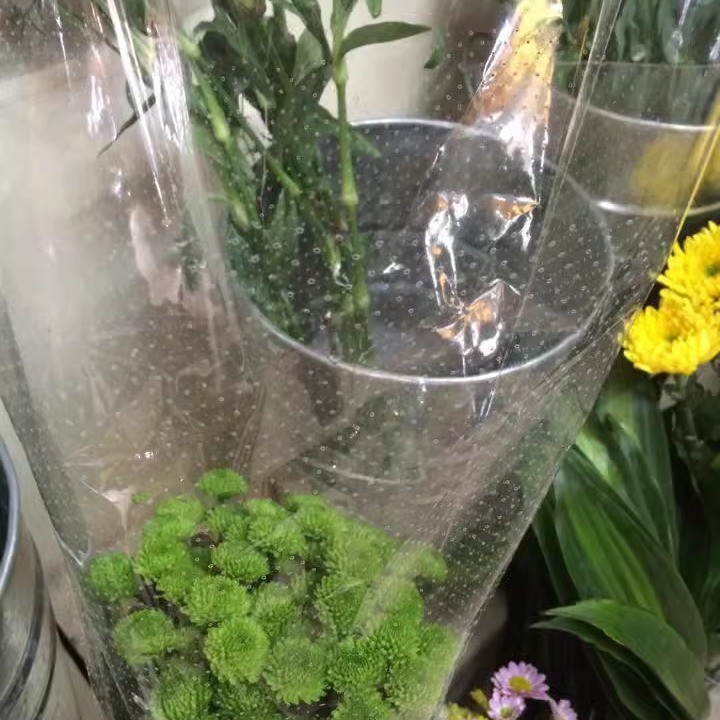 В наличии мешки для опыления рапса с маленькими отверстиями, микропористые мешки, перфорированная пленка, мешки для самоопыления, пылезащитные