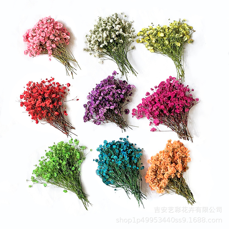 Gypsophila Dried Flower Embossed Wholesale DIY Photo Frame Glue Bookmark Embossed Flower Decoration with Branch Side Embossed Dried Flower Specimen