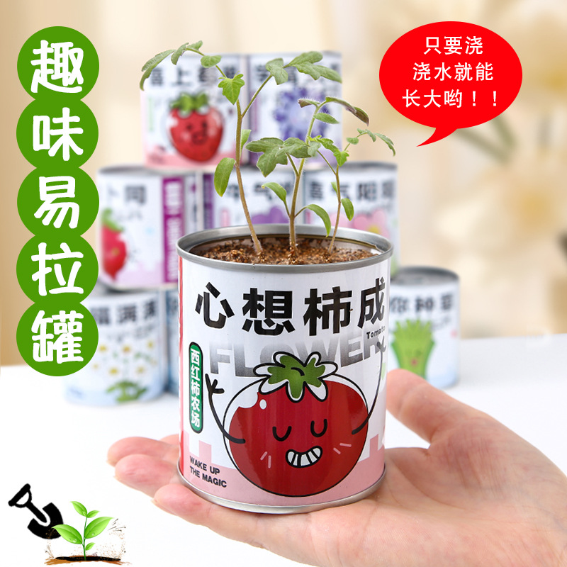 Internet Celebrity Can Plant Blind Box Children's Planting Tomato Mint Desktop Green Plant Growth Record Can