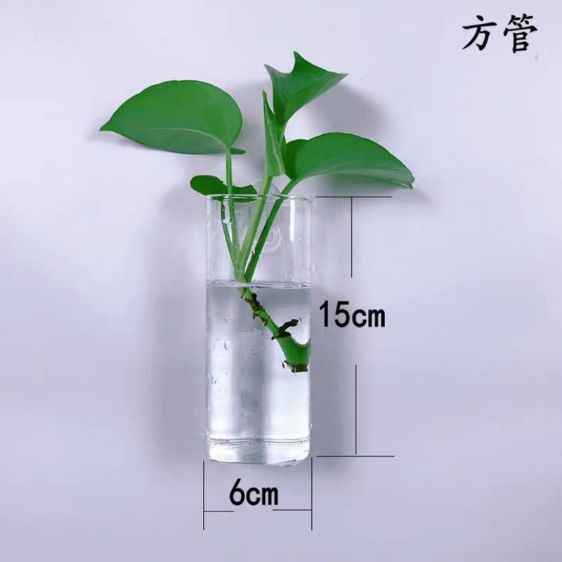 Creative Wall-Mounted Hydroponic Pothos Vase Square Cylindrical Transparent Glass Modern Simple Wall-Mounted Glass Flower Pot