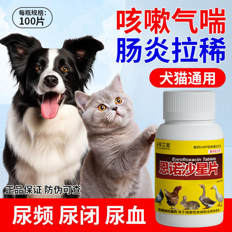 Veterinary Medicine for Chickens, Ducks, Dogs, Diarrhea, Cats, Anti-Inflammatory Diarrhea, Enteritis Medicine, Enrofloxacin, Diarrhea, Respiratory Tract, Pigeons 100 Tablets